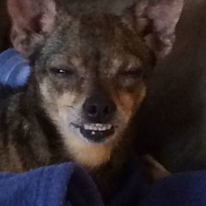 Meet your Posher, Lillian